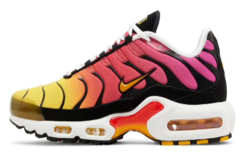 Nike Air Max Plus Rainbow