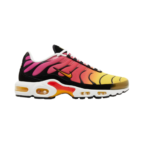 Nike Air Max Plus Rainbow